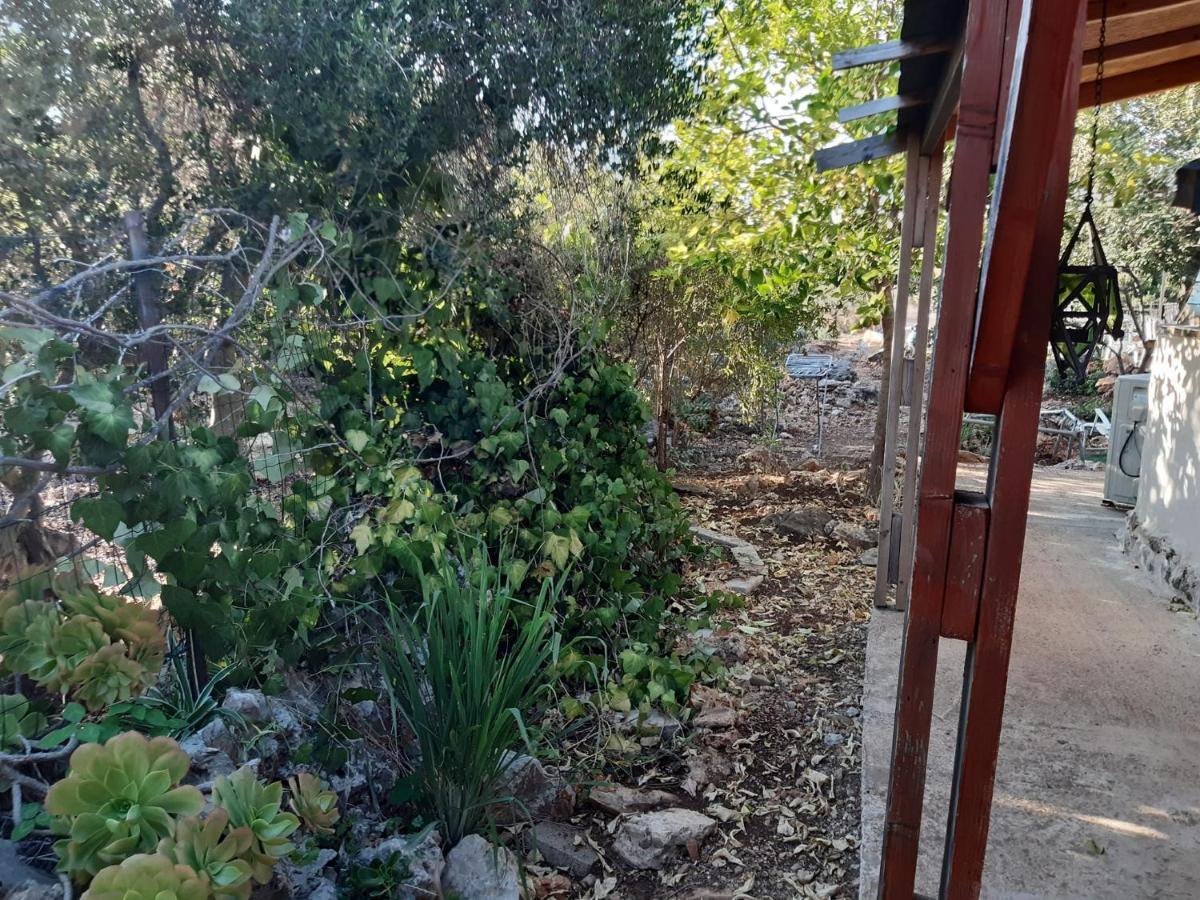 בקתת עץ בחורש במנות - דום גיאודזי - Wooden Cabin In Manot Exterior foto
