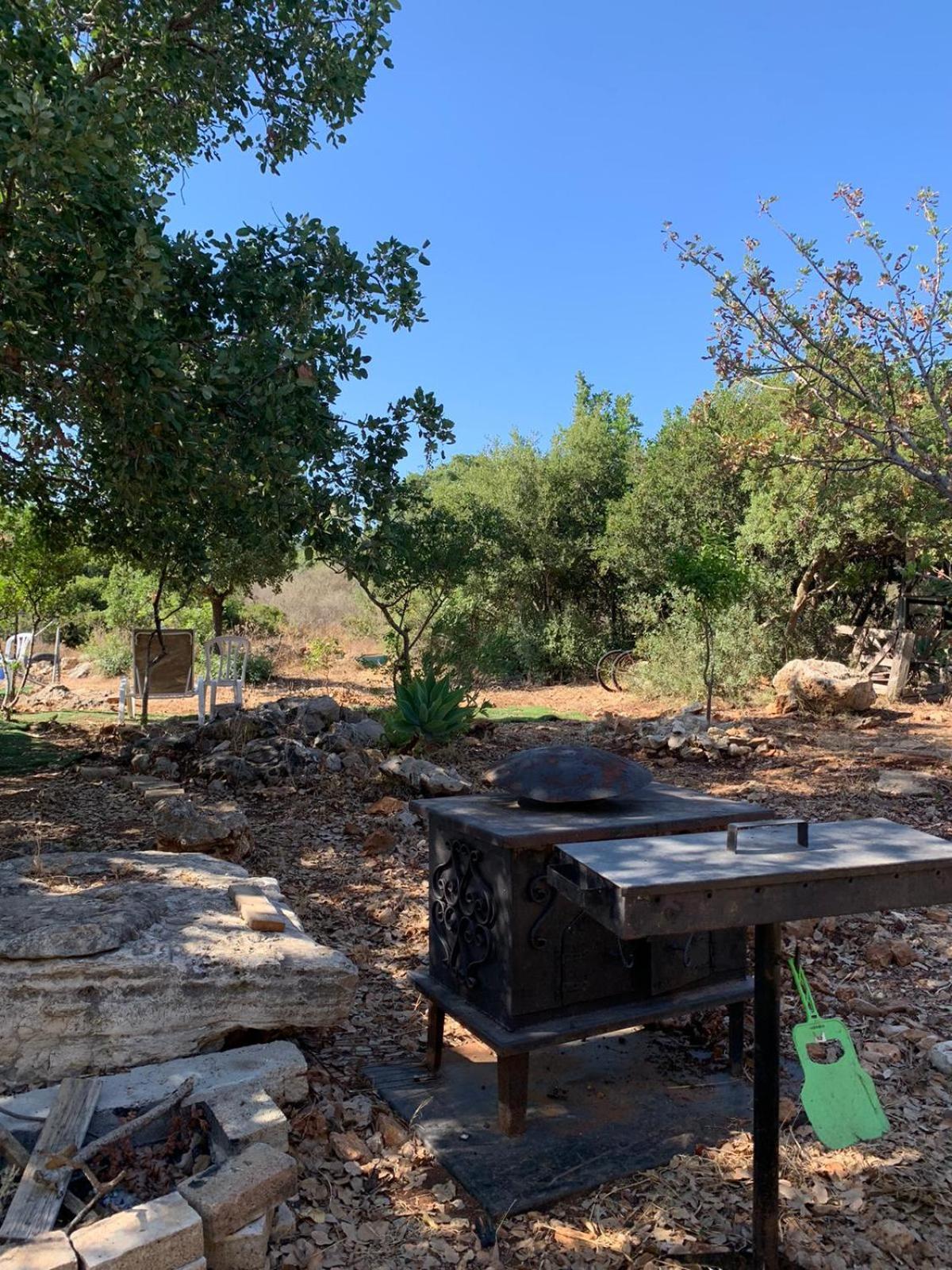 בקתת עץ בחורש במנות - דום גיאודזי - Wooden Cabin In Manot Exterior foto
